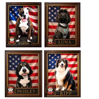 image of four comfort dogs